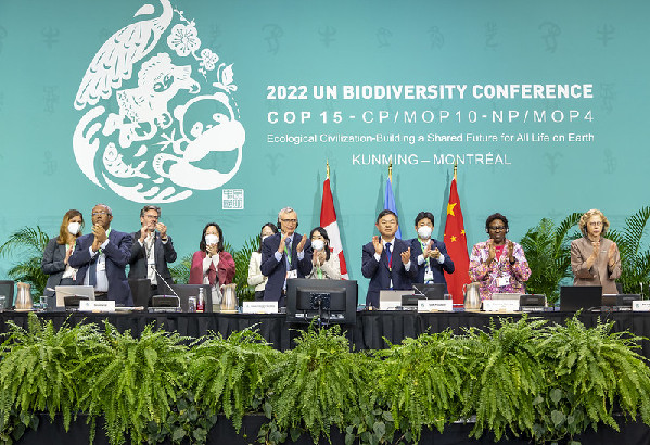 第23个国际生物多样性日丨行动吧！从协议到协力：复元生物多样性