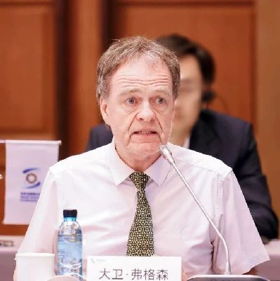 英国传播专家大卫·弗格森：促进网上文化交流和文明互鉴