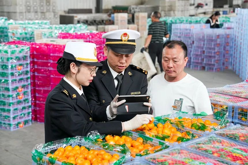 今年11月，来乌镇聊聊“跨境电商”的可持续发展