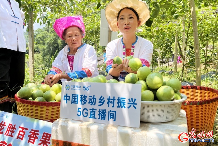 深山瑶寨“数智”转型记