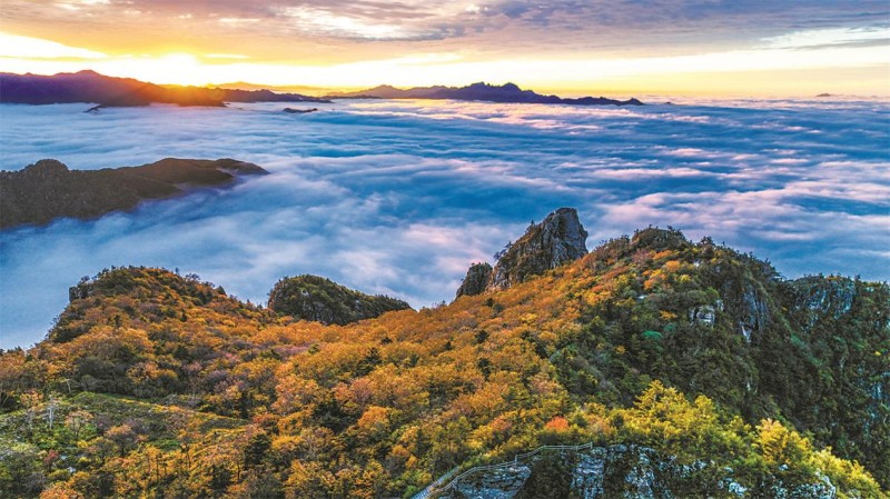 【高质量发展看陕西】生态美、产业强，绿水青山终不负