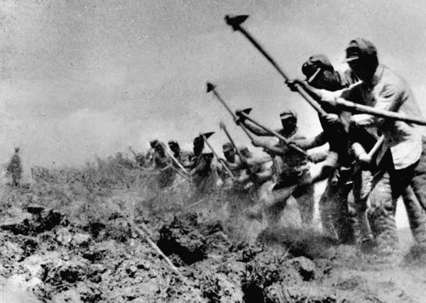 【高质量发展看陕西】喜望稻菽千层浪，“红”“绿”交响南泥湾