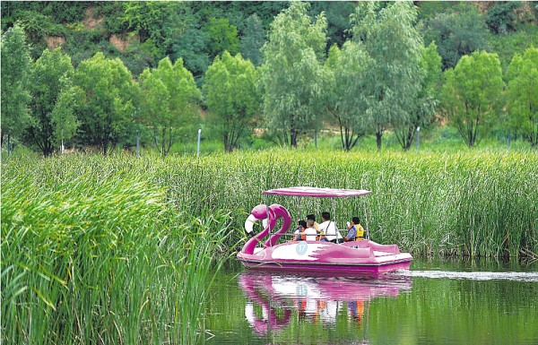 【高质量发展看陕西】喜望稻菽千层浪，“红”“绿”交响南泥湾