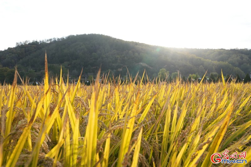 红星照耀中国丨如今延安，更不一般