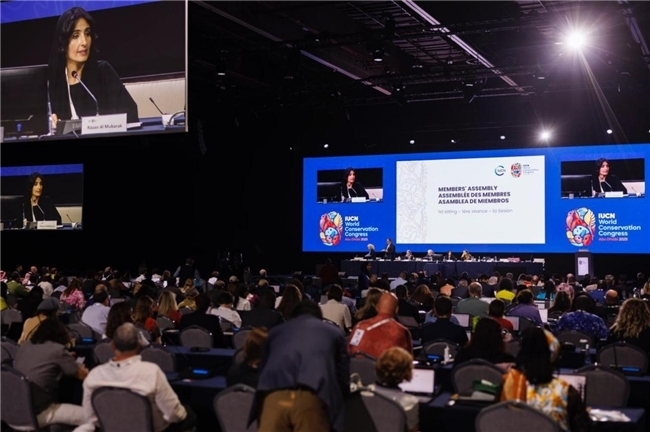 2025世界自然保护大会“汇美自然”案例为全球韧性人居建设提供中国经验