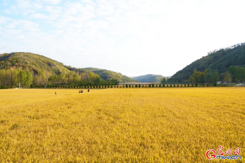 红星照耀中国丨这些画面见证革命文化光照千秋