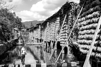 科技赋能，守护大国粮仓