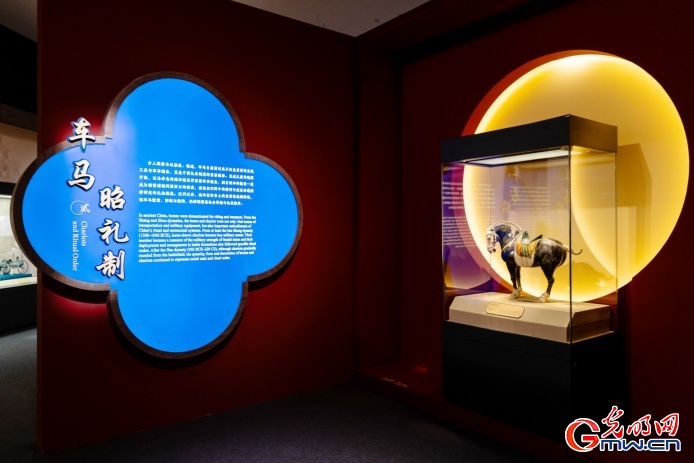 新春走基层丨马騳骉騛……这场文化展“万马奔腾” 新春走基层丨马騳骉騛……这场文化展“万马奔腾”