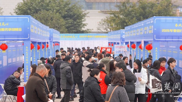 区域协同稳就业！鄂渝湘11城“春风送岗”暖民心