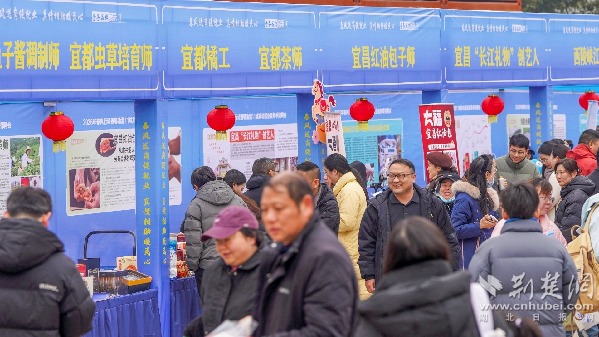 区域协同稳就业！鄂渝湘11城“春风送岗”暖民心