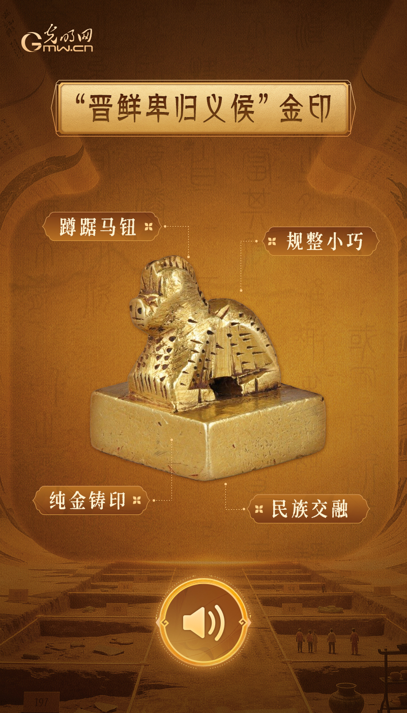 “文物会说话”有声海报|稀世金玉齐聚,见证多元一体文明华章 方寸金印里,藏着西晋的边疆盟约
