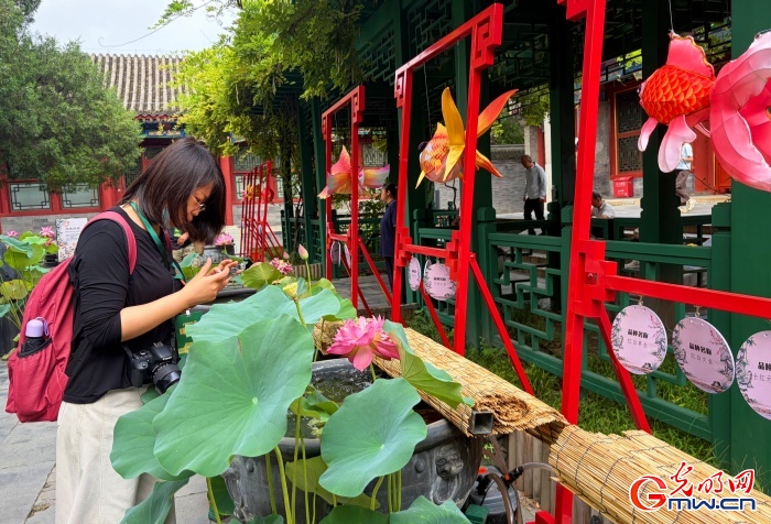 来恭博特展，既赏非遗又看金鱼