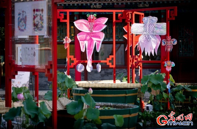 来恭博特展，既赏非遗又看金鱼