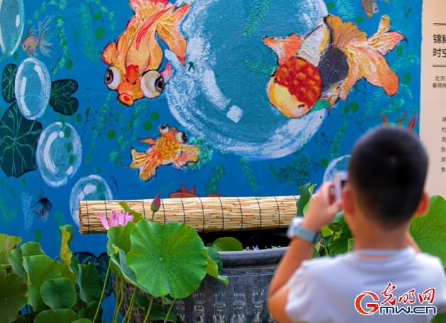 来恭博特展，既赏非遗又看金鱼