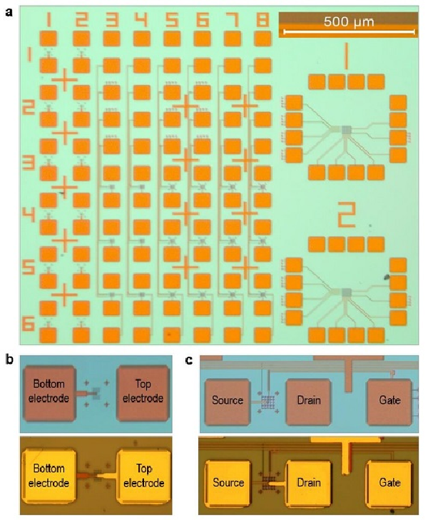 一周网事丨世界互联网大会举行乌镇峰会专家座谈会 谷歌微软在编码工具领域展开竞争