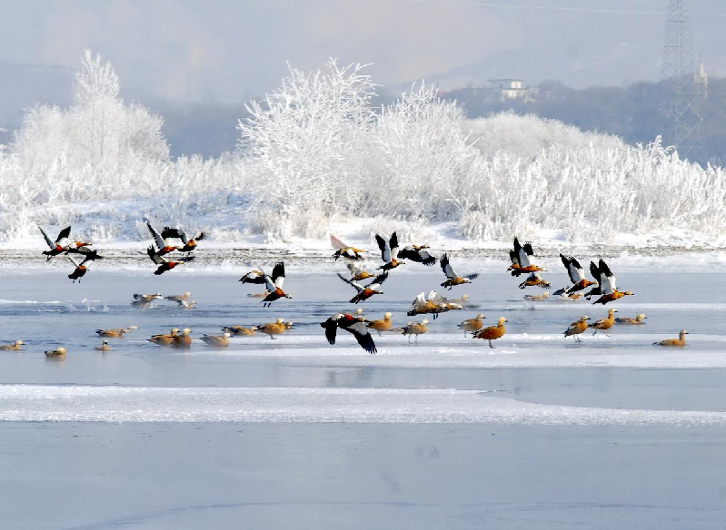 吉林市邀您共赴秋冬之约 畅享冰雪与浪漫之旅