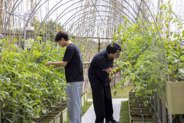 华南农大珠江学院：以“三融”为笔，写好应用型人才培养文章