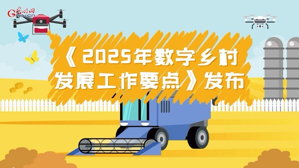 动画｜2025年数字乡村建设有这些KPI