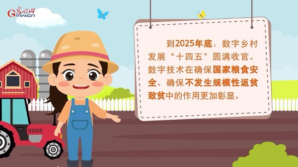 动画｜2025年数字乡村建设有这些KPI