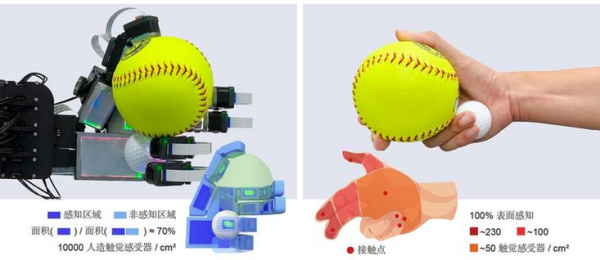 我国科学家“全手触觉的机器人仿生手”研究取得重大突破