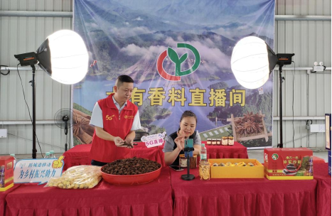 深山信号塔，边境飘香记