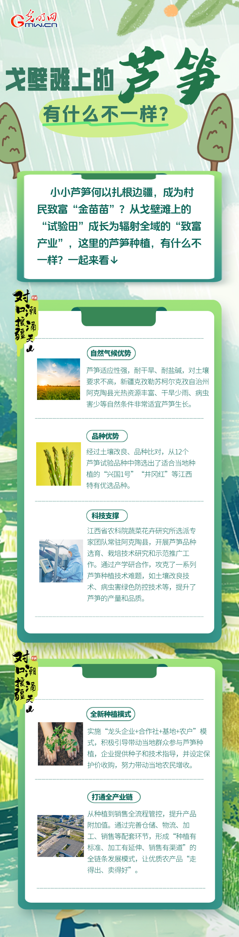 对口援疆 潮涌天山｜戈壁滩上的芦笋 有什么不一样？