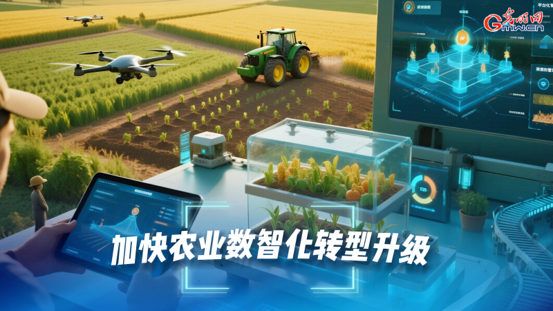 AI海报丨“人工智能+”都能“+”什么？