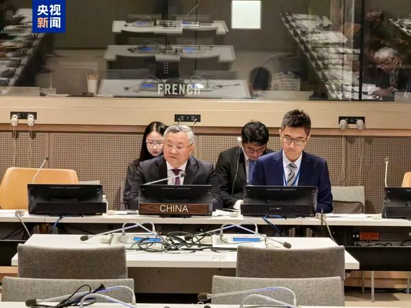 “全球治理之友小组”正式成立 “全球治理之友小组”正式成立