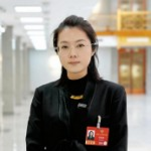 全国两会看网信｜网络强国，这样建！