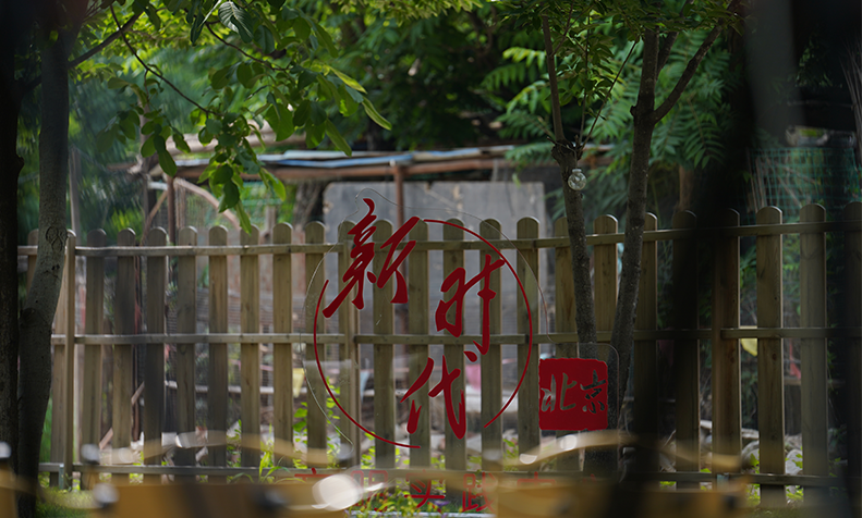 文明实践赋能基层，筑牢北京防汛安全屏障