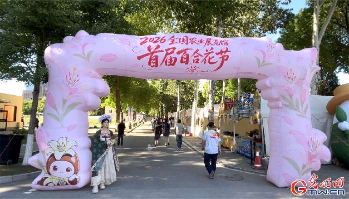 百合花节展现都市美学，5000平方米花海免费开放