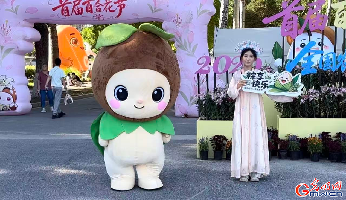 百合花节展现都市美学，5000平方米花海免费开放
