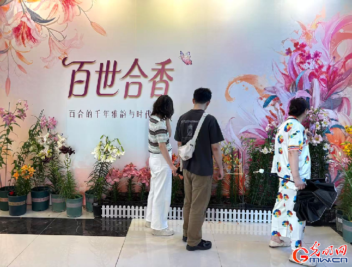 百合花节展现都市美学，5000平方米花海免费开放