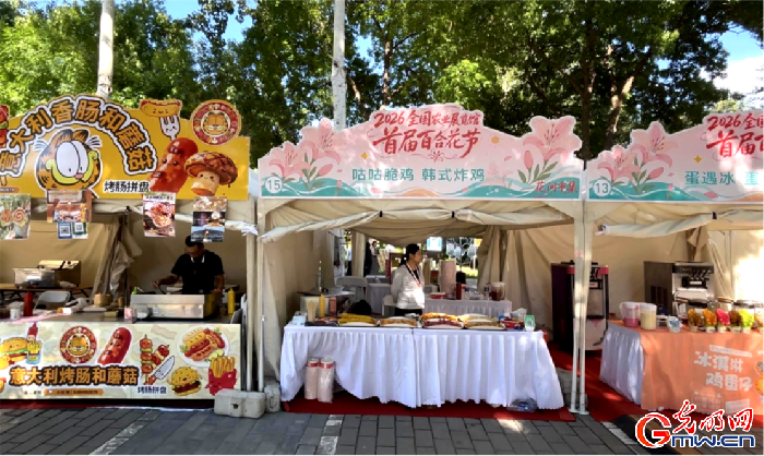 百合花节展现都市美学，5000平方米花海免费开放