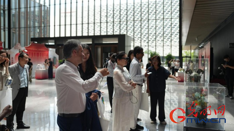 来世界互联网大会开放日，开展一场数字时代的全球文化漫游